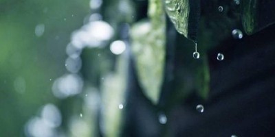 What is the Most Suitable Temperature and Humidity Environment for Human Living