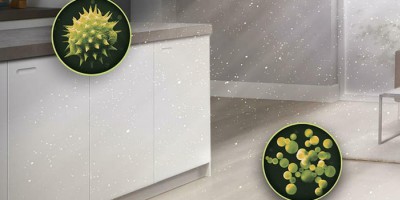 Too Much Dust at Home? How to Best Solve It?