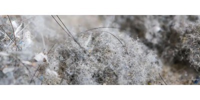 Mastering Dust Concentration Sensor Verification Procedures: Ensuring Industrial Safety and Health