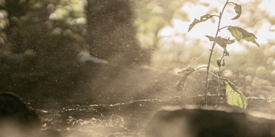 What Are the Suspended Particulate Matters in Daily Life? What Role Do Sensors Play?