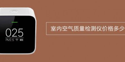 How much does an indoor air quality detector cost? What factors determine the price of an air detector?