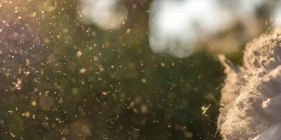 How Small Can a Laser Dust Sensor Detect Particulate Matter? And How Does It Do It?