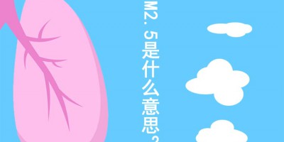 What does PM2.5 mean, and what are the sources of PM2.5 pollution?