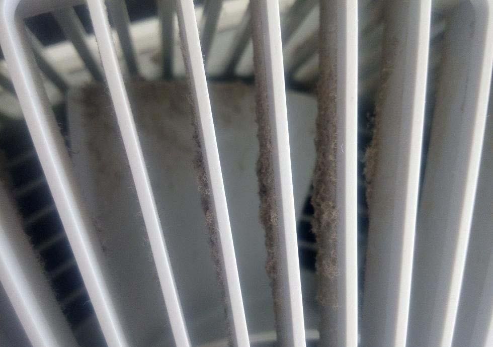 Air purifiers must be cleaned this way to maintain their effectiveness