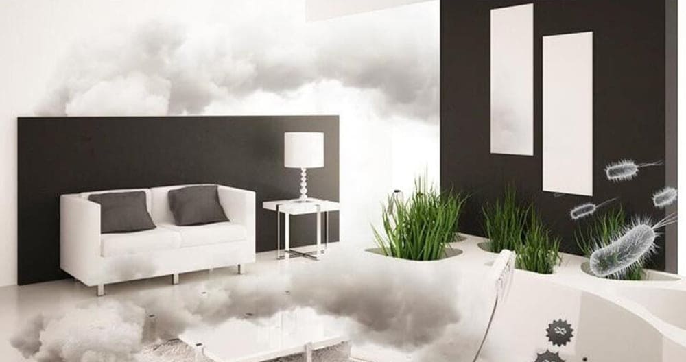 Principle and Application of Electrochemical Gas Sensors