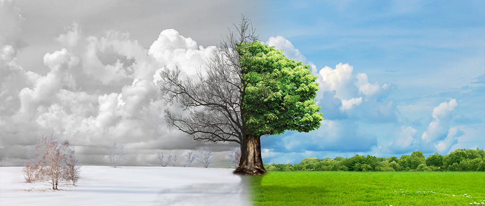 Dust sensor: The &ldquo;eyes&rdquo; of the fresh air system