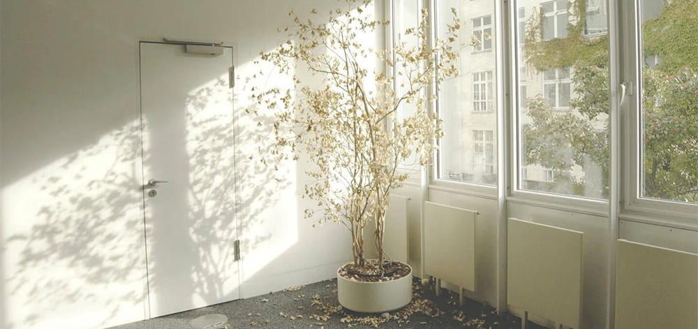 Gas Sensors: Guarding Your Family Health