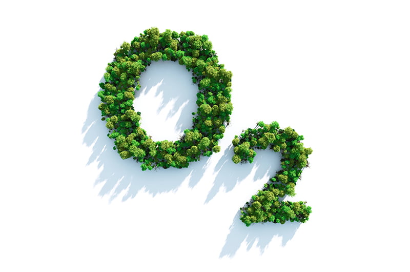 Fresh Air Control Panel: Smart Technology Empowering a Healthy Future Life