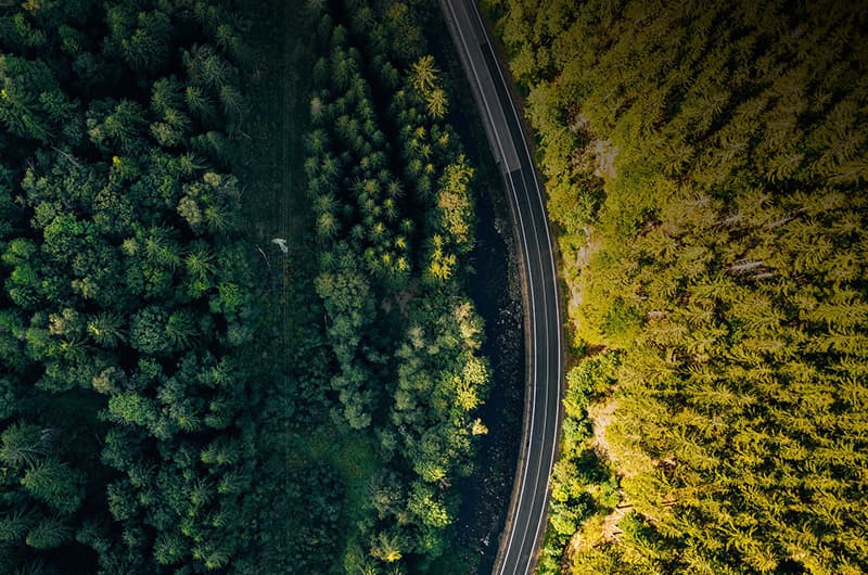 Gas Sensors: Guardians of Environment and Health