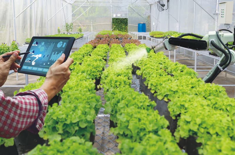 Challenges faced by sensor applications in agriculture
