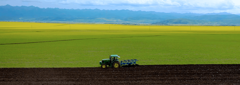 The role of temperature and humidity sensors in modern agriculture