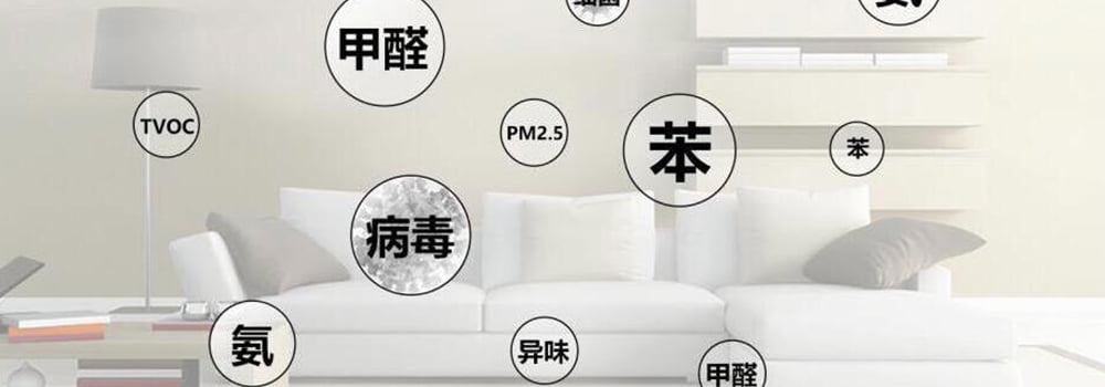 Common Toxic and Harmful Gases Indoors