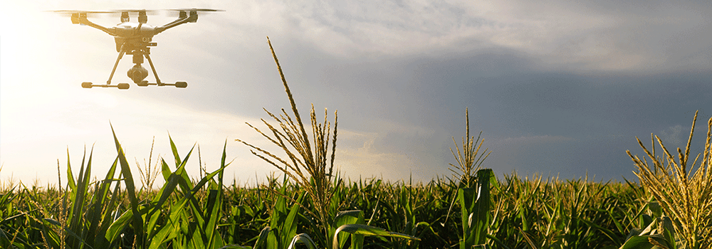 What sensors can agricultural drones typically be equipped with