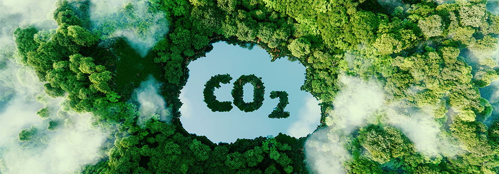 Scientific Purchasing Guide for CO2 Sensors