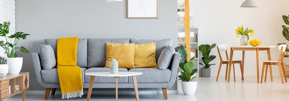 Popular science article about particle dust sensors