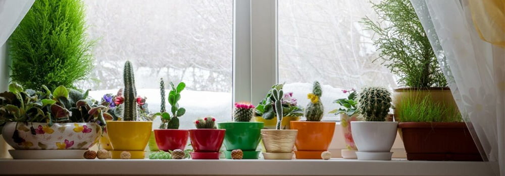 What to do if the home is not only dusty but also dry and stuffy in winter?