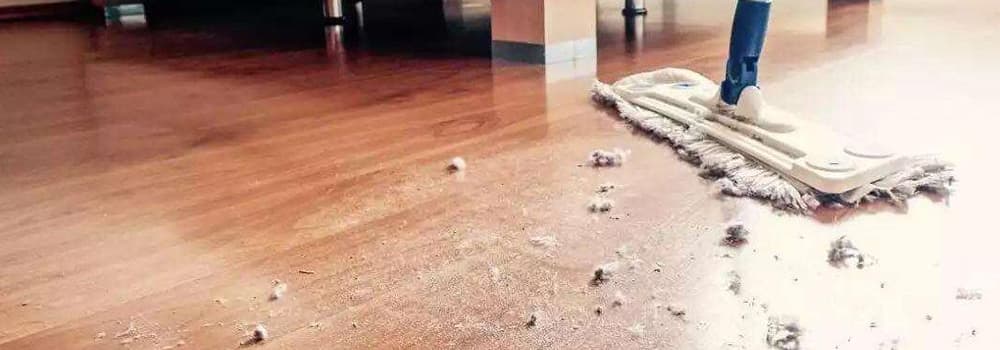 Why does floor dust and &ldquo;lint&rdquo; increase in the home during winter?