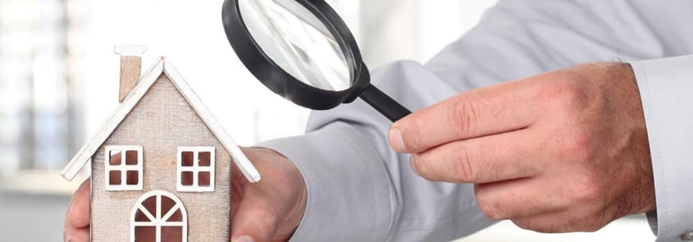 What to do if the house is full of dust after renovation