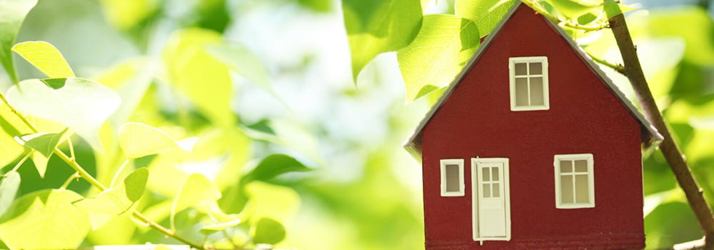 Indoor Air Quality: A Health Topic That Cannot Be Ignored