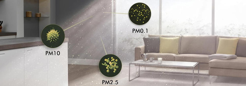What are the signs of excessive indoor PM2.5 levels?
